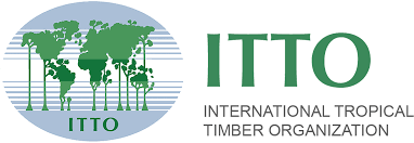 logo ITTO