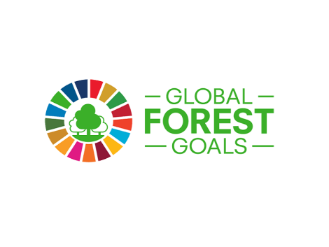 logo United Nation Forum on Forest