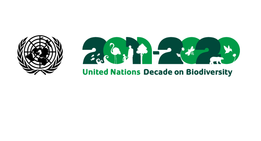 logo UN decade on biodiversity