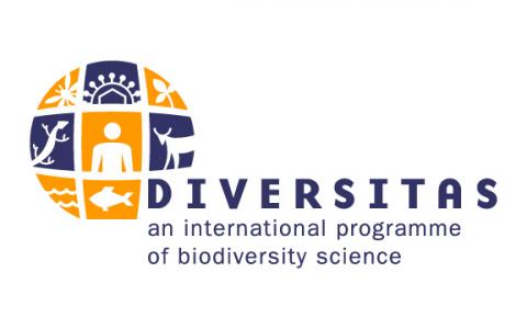 logo diversitas