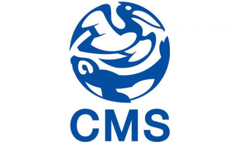 logo cms