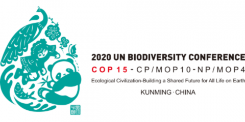 cop15