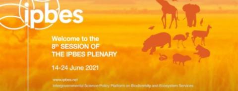 ipbes