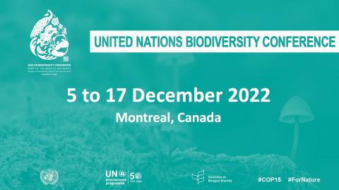 COP15