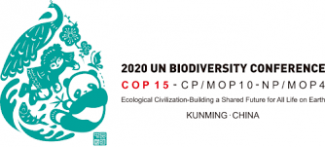 UN COP15