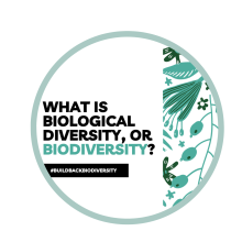 biodiv